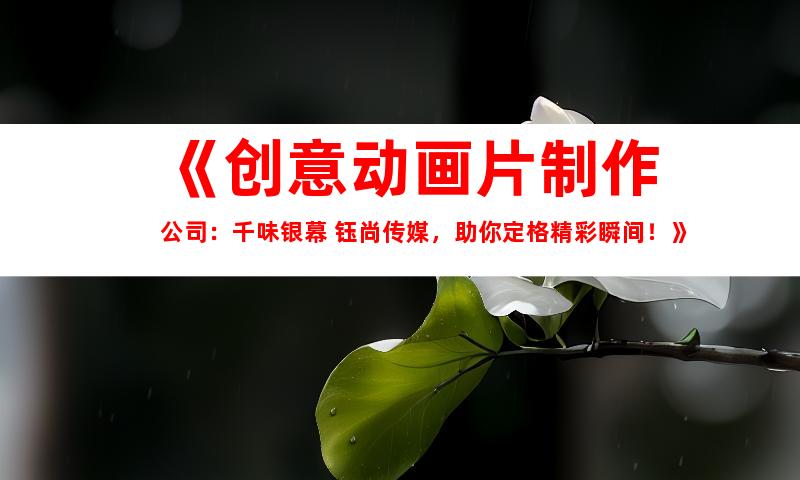 苏州《创意动画片制作公司：千味银幕 钰尚传媒，助你定格精彩瞬间！》